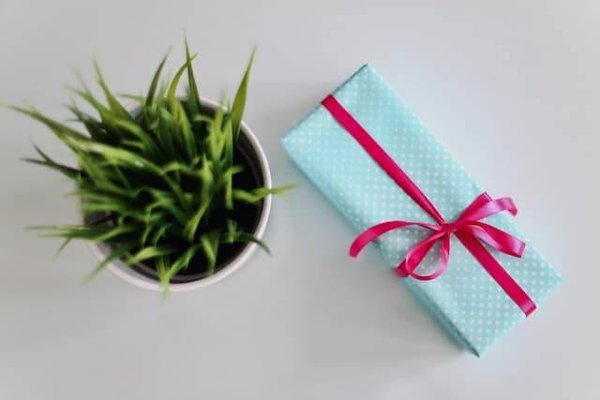 5 idées de projets DIY pour des cadeaux personnalisés pour les amateurs de photographie de mariage chez les hommes